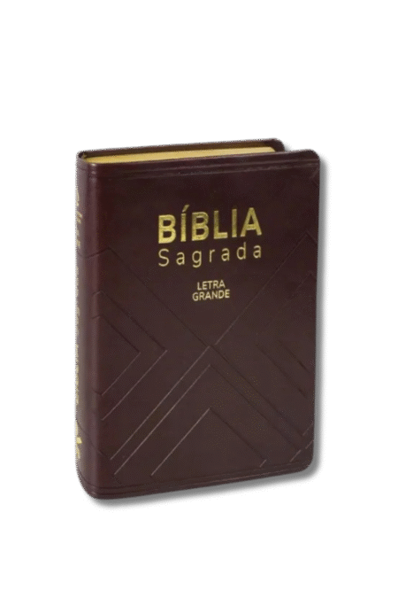 bíblia sagrada letra grande: nova almeida atualizada (naa)