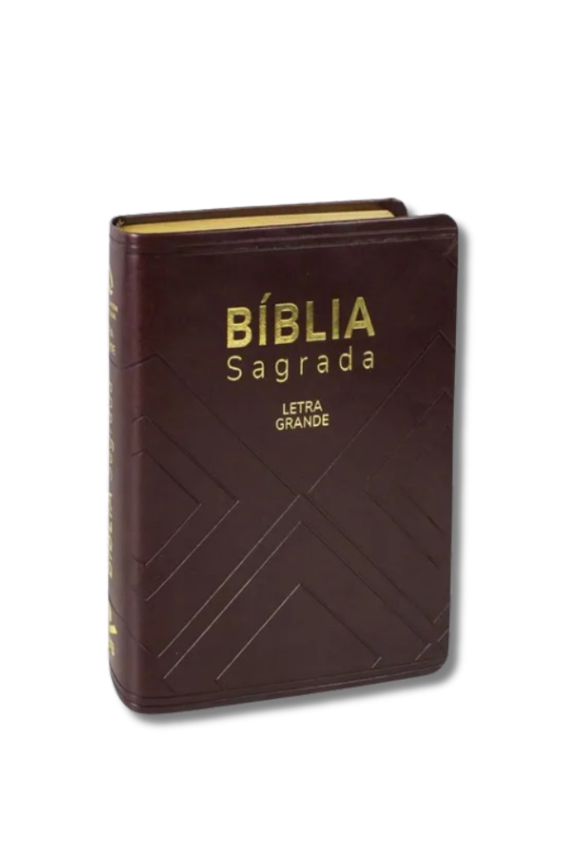 bíblia sagrada letra grande: nova almeida atualizada (naa)