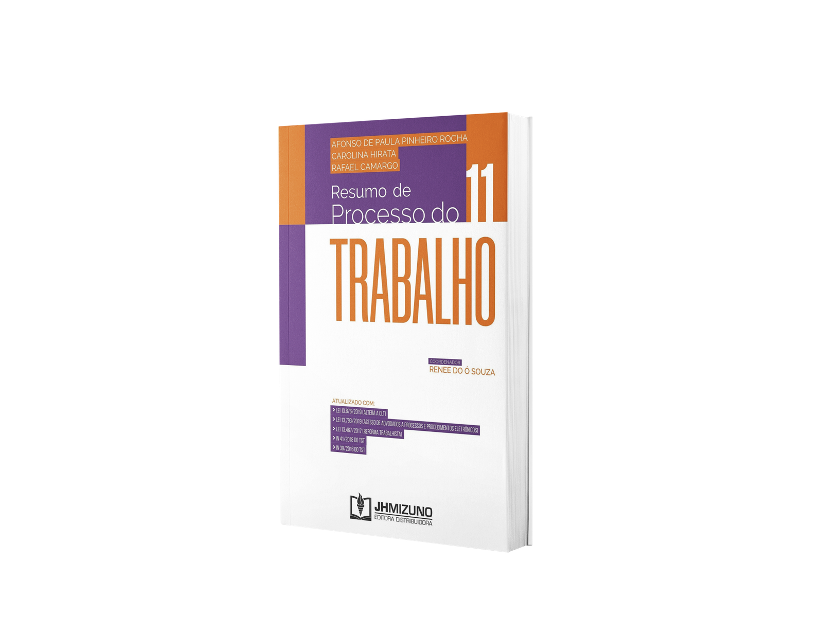 resumo de processo do trabalho